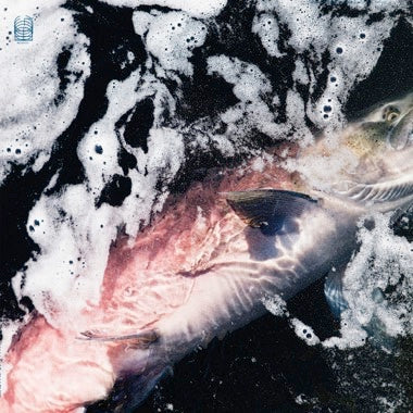 Kenney, Jessika & Eyvind Kang - Azure LP