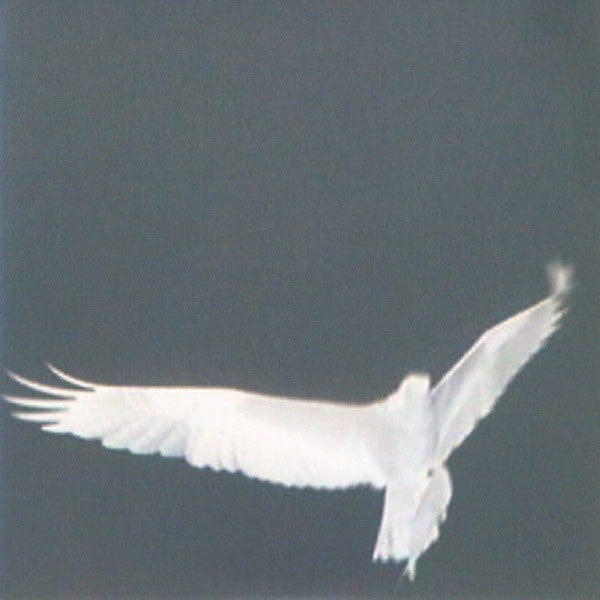 Bardo Pond – Adrop / Circuit VIII