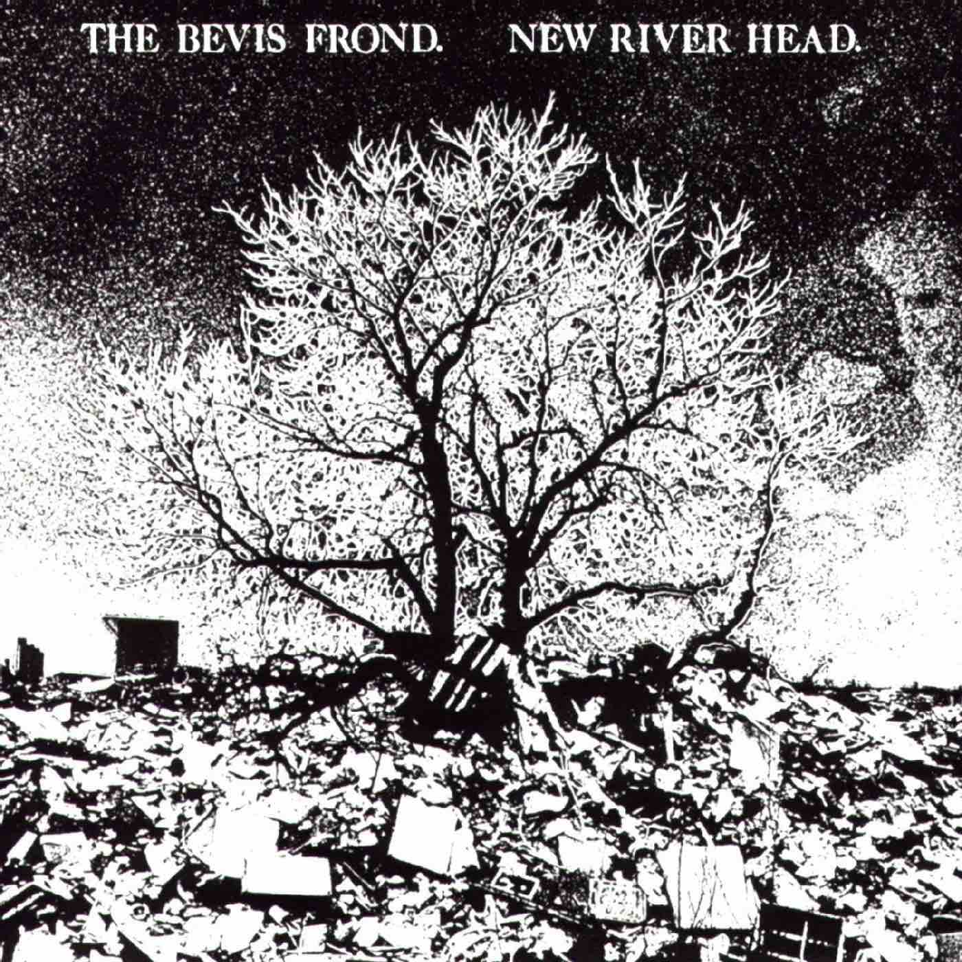 Bevis Frond, The - New River Head