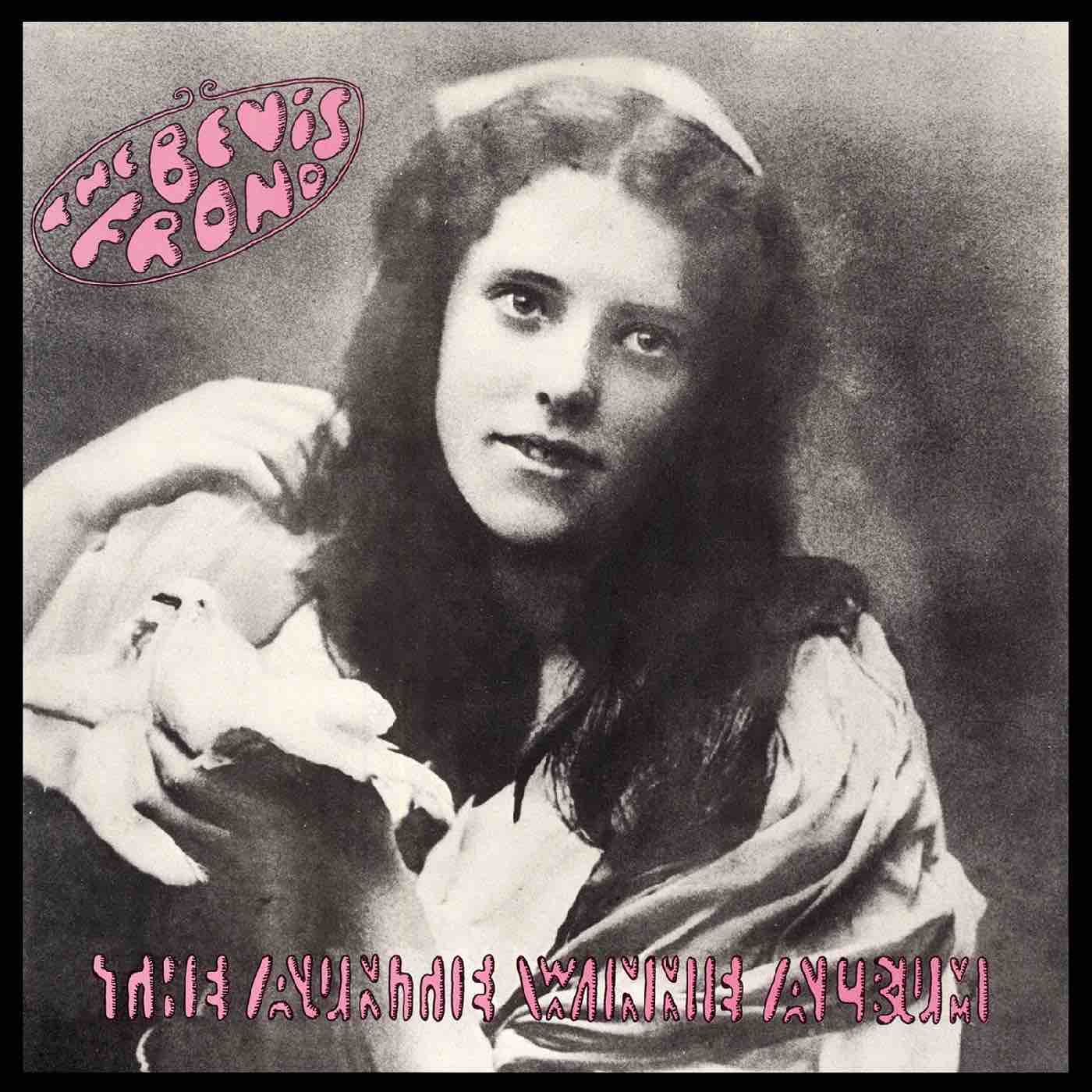 Bevis Frond, The - The Auntie Winnie Album