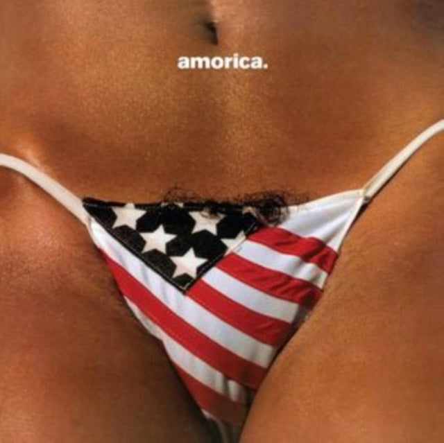 Black Crowes, The - Amorica