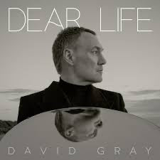 Gray, David - Dear Life LP