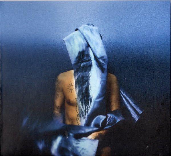 Banhart, Devendra - Flying Wig