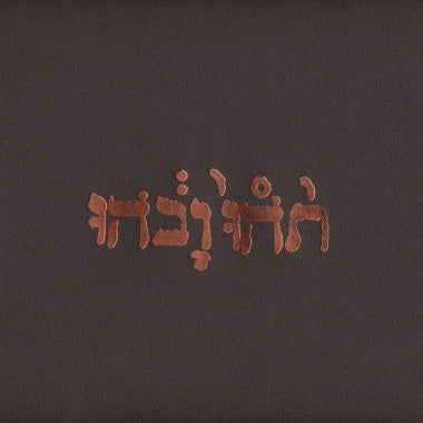 Godspeed You! Black Emperor - Slow Riot For New Zero Kanada