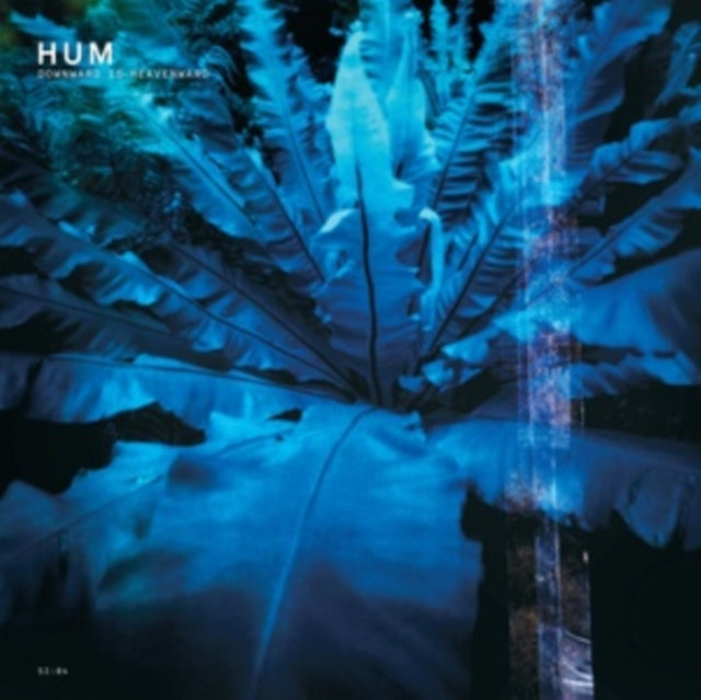 HUM - Downward Is Heavenward LP