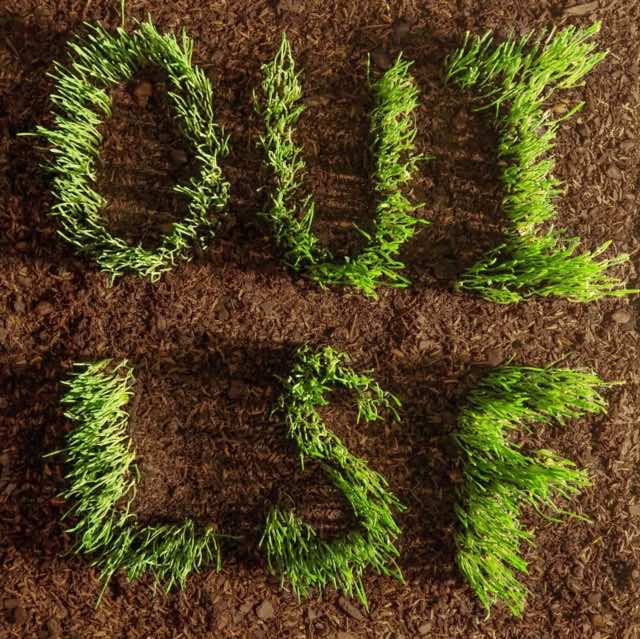 Les Savy Fav - Oui, LSF LP