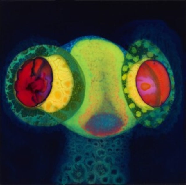 Osees (Thee Oh Sees) - Sorcs 80