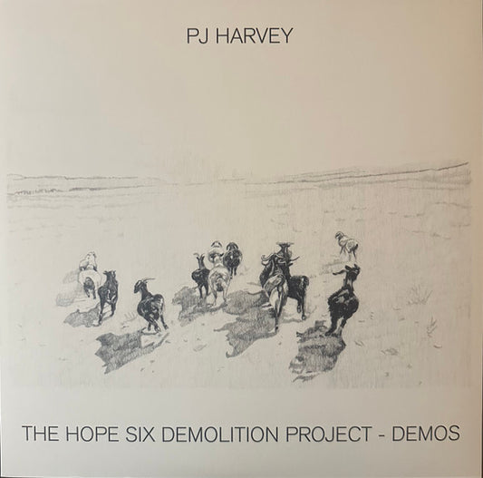 Harvey, PJ – The Hope Six Demolition Project - Demos
