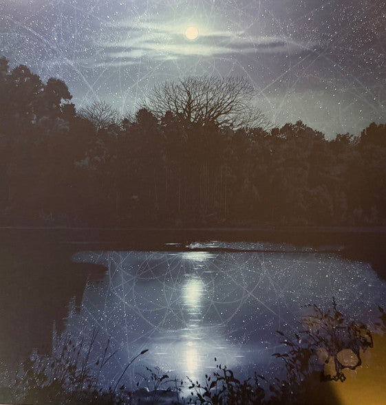 Planes Mistaken For Stars - Do You Still Love Me? LP