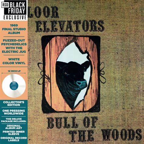 13th Floor Elevators ‎– Bull of The Woods