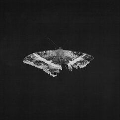 Lamar, Kendrick - To Pimp A Butterfly