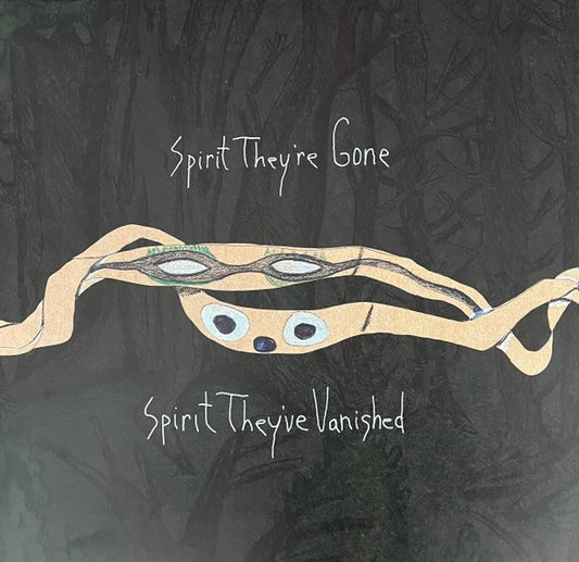 Animal Collective ‎– Spirit They're Gone Spirit They've Vanished