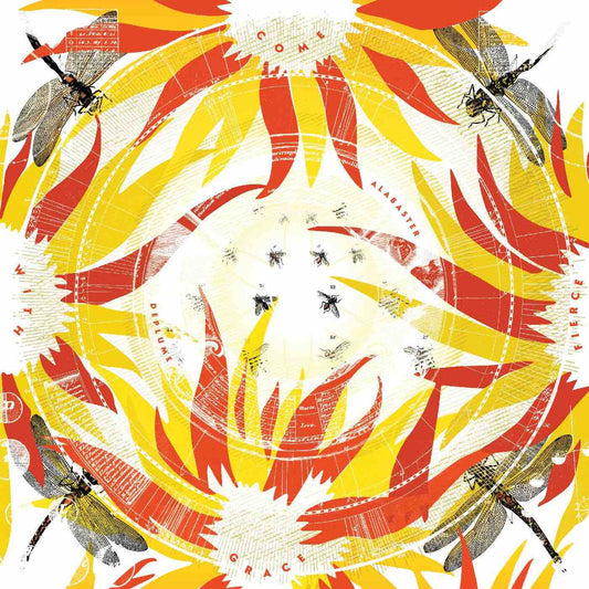 De Plume, Alabaster - Come With Fierce Grace LP