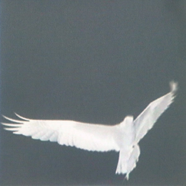 Bardo Pond ‎– Adrop / Circuit VIII