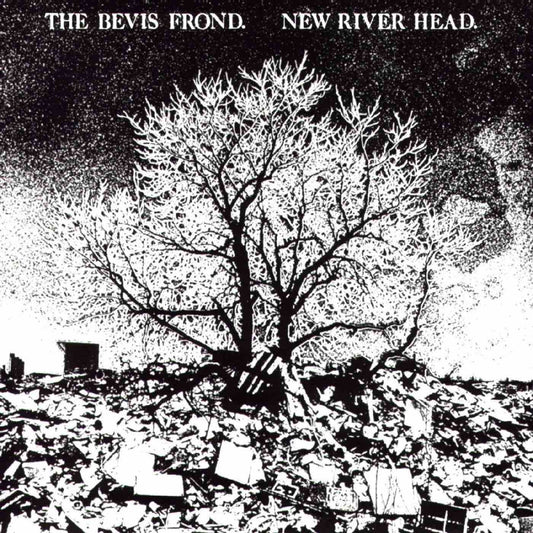 Bevis Frond, The - New River Head