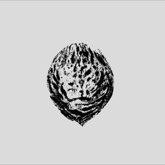 Black Lips - Bebop Armageddon