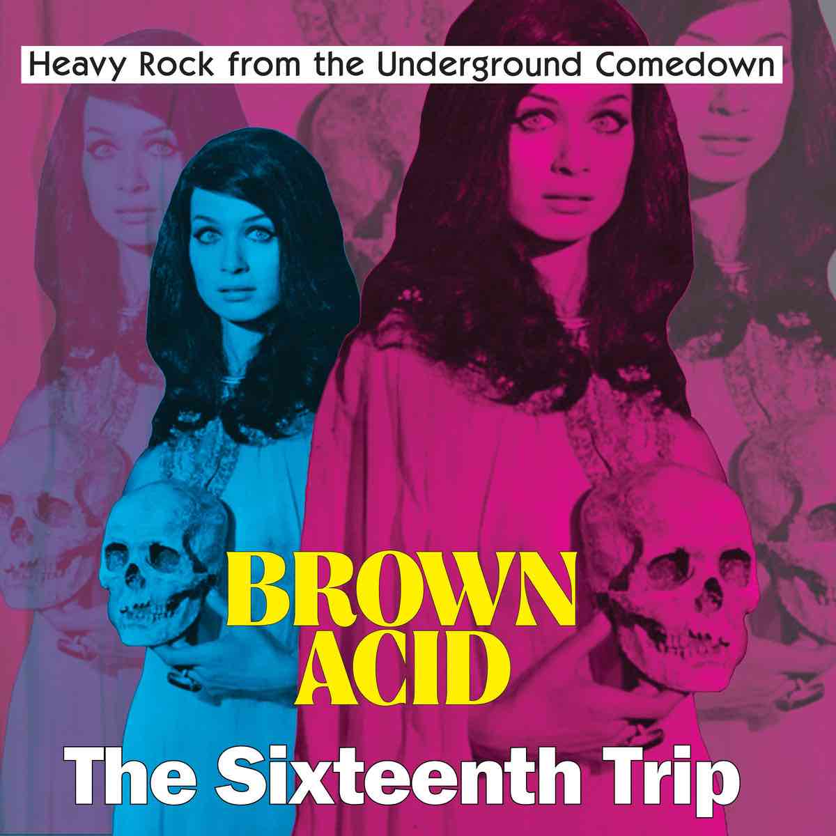 Various: Brown Acid - The Sixteenth Trip LP