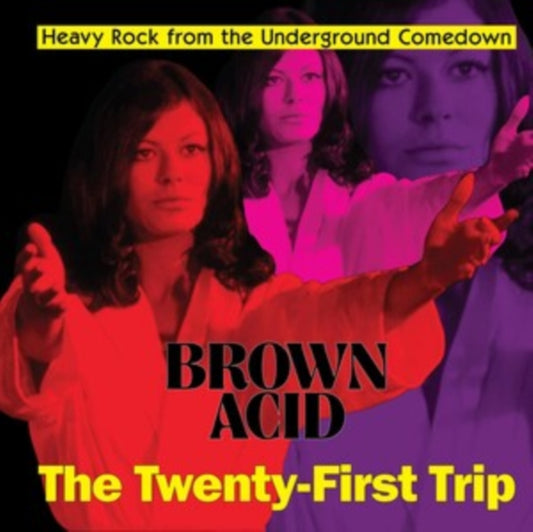 Various: Brown Acid - The Twenty-First Trip
