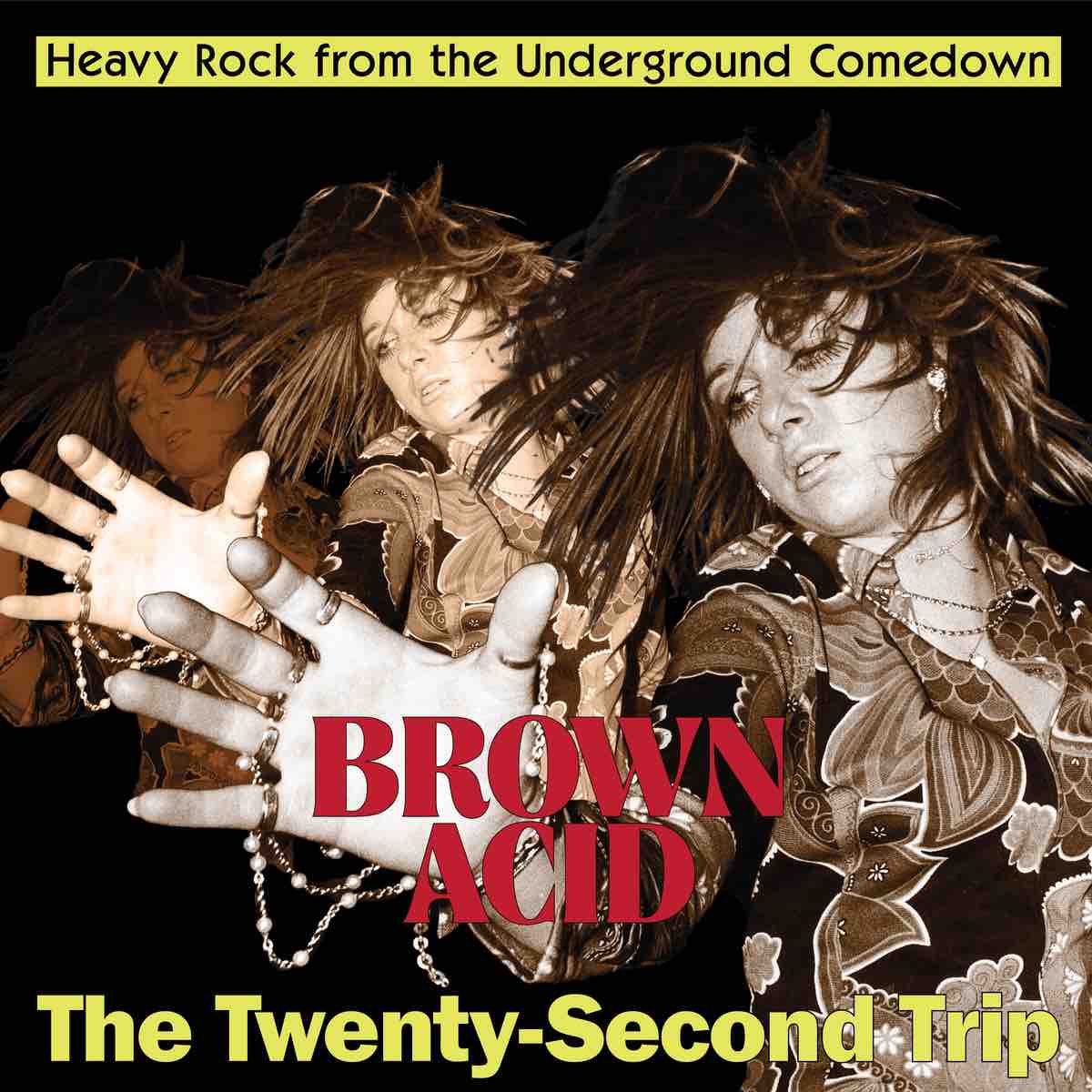 Various: Brown Acid - The Twenty - Second Trip