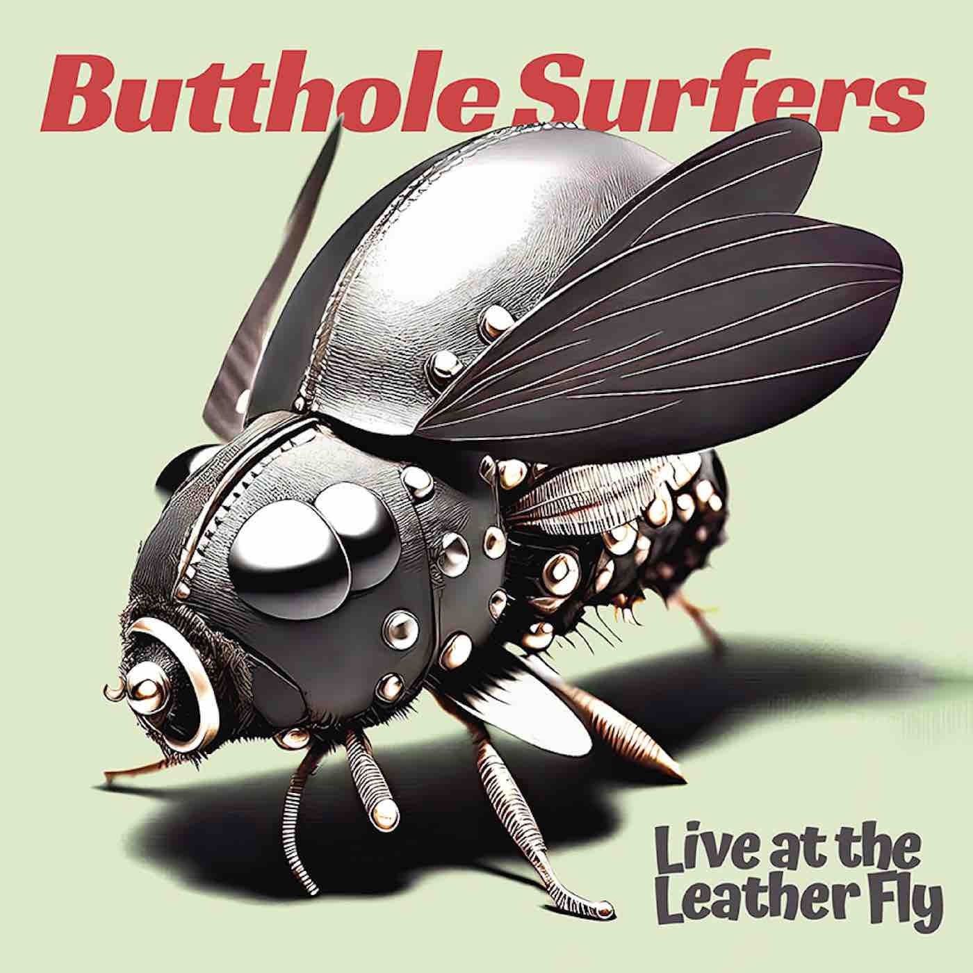 Butthole Surfers - Live at The Leather Fly