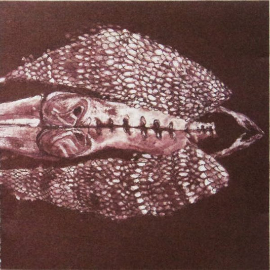 Cerberus Shoal - Homb