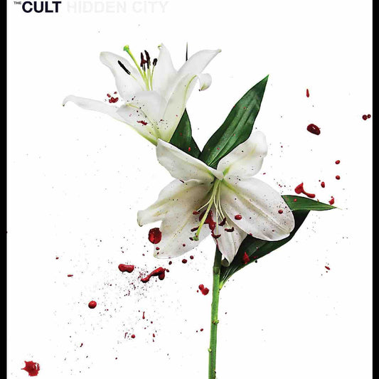 Cult, The - Hidden City