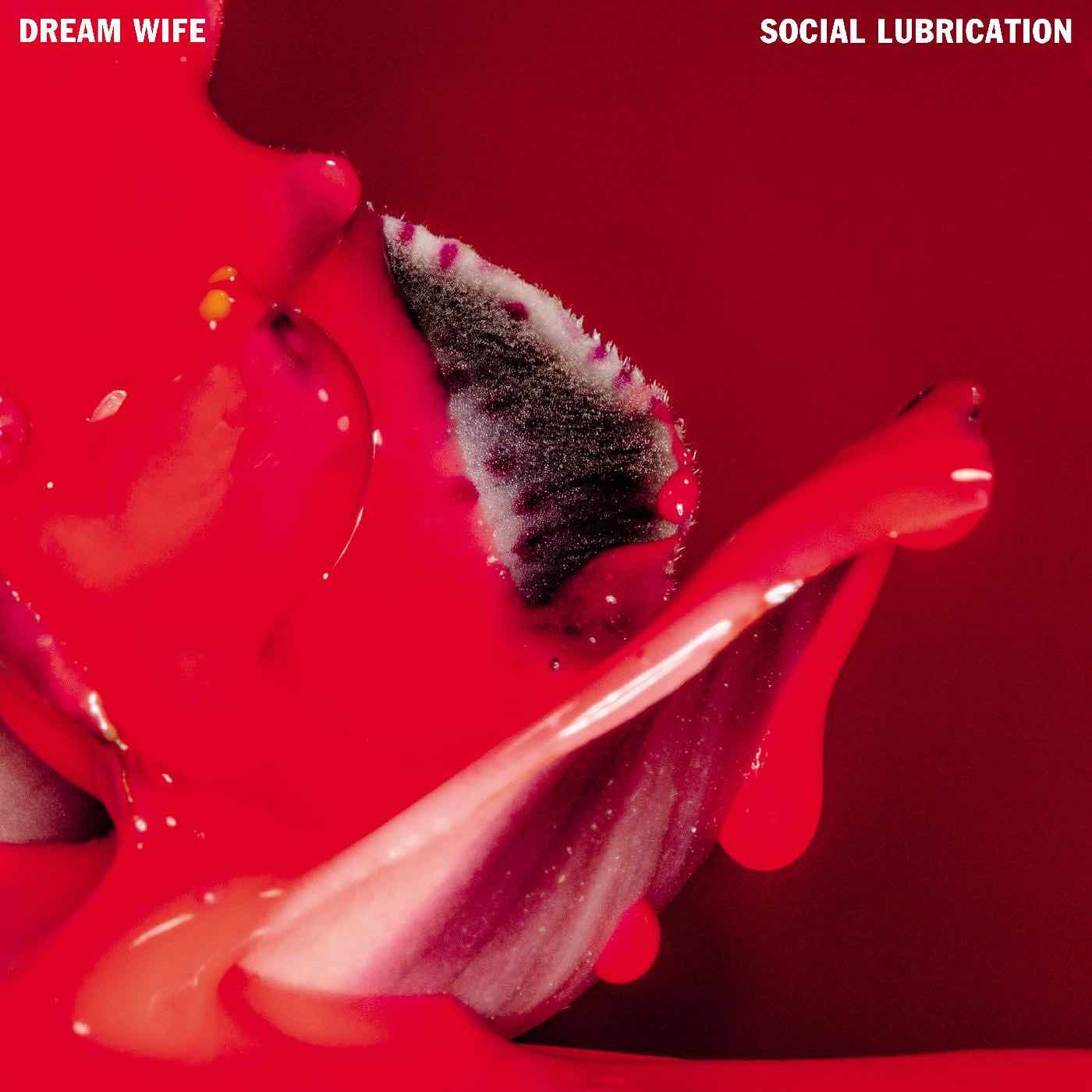 Dream Wife - Social Lubrication LP