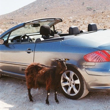 EXEK - Prove The Moutains Move