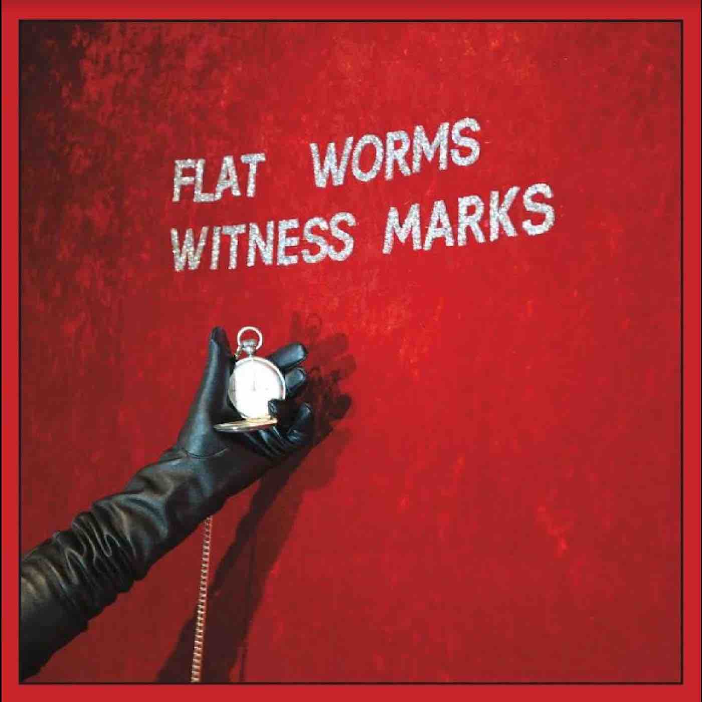Flat Worms - Witness Marks LP