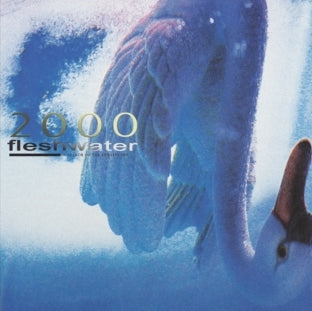 Fleshwater - 2000: In Search of The Endless Sky