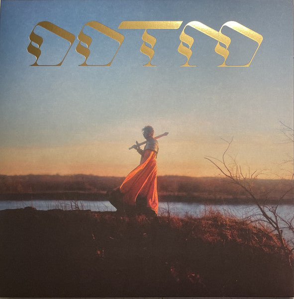 Foxing - Draw Down The Moon LP