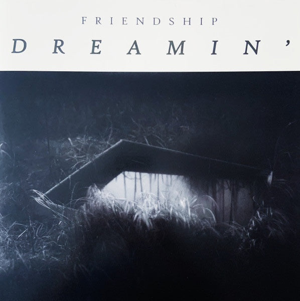 Friendship - Dreamin' LP