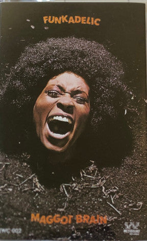 Funkadelic - Maggot Brain