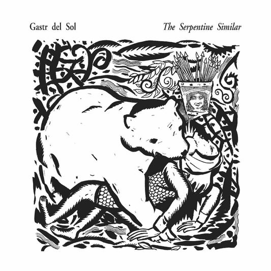 Gastr Del Sol - The Serpentine Similar