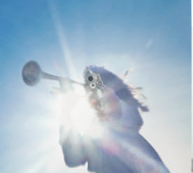 Geese - Getting Killed