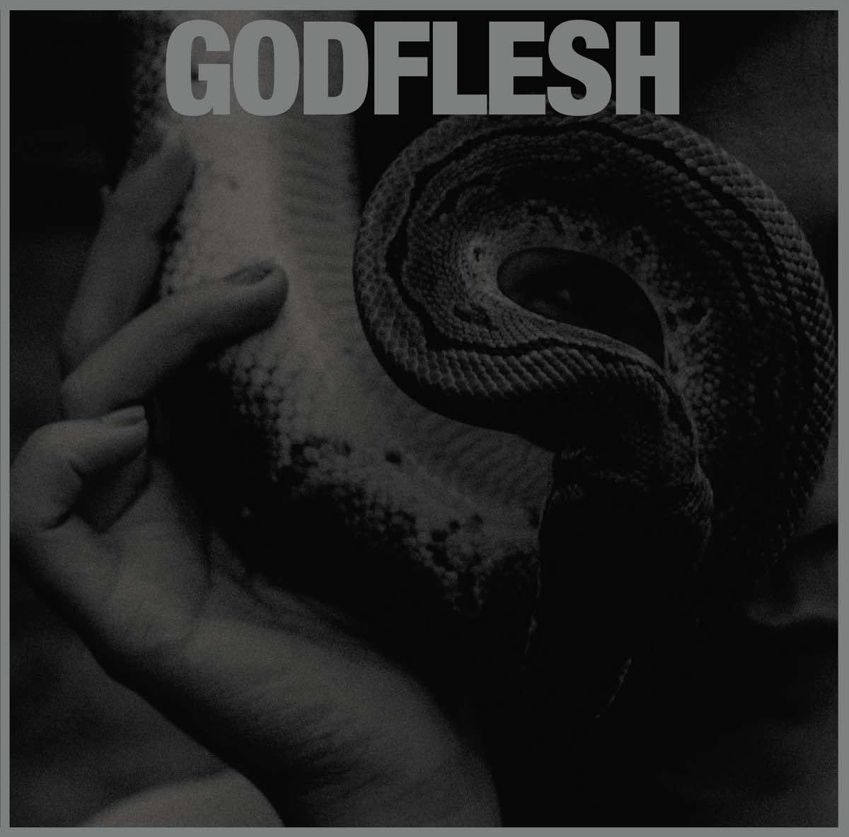 Godflesh - Purge LP