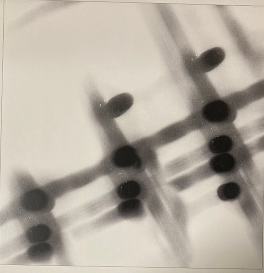 Gregor Samsa - 40:13.5