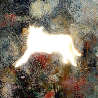 Joyer - On The Other End of The Line...