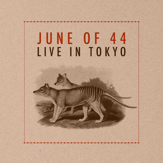 June of 44 - Live in Tokyo