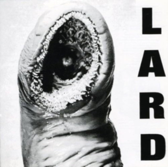 Lard - Power of Lard