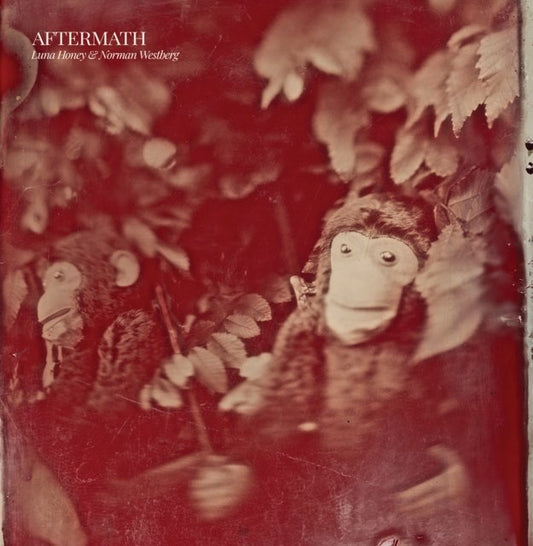 Luna Honey & Norman Westberg - Aftermath LP
