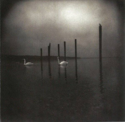 OM - Conference of The Birds