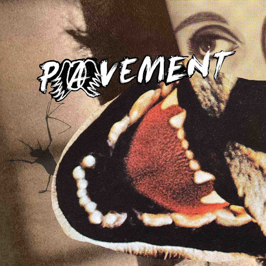 Pavement - Hecklers Choice: Big Gums and Heavy Lifters - A Pavement Collection