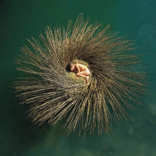 Gabriel, Peter - OVO