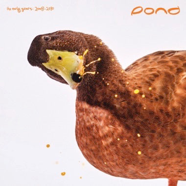 Pond - The Early Years: 2008-2010