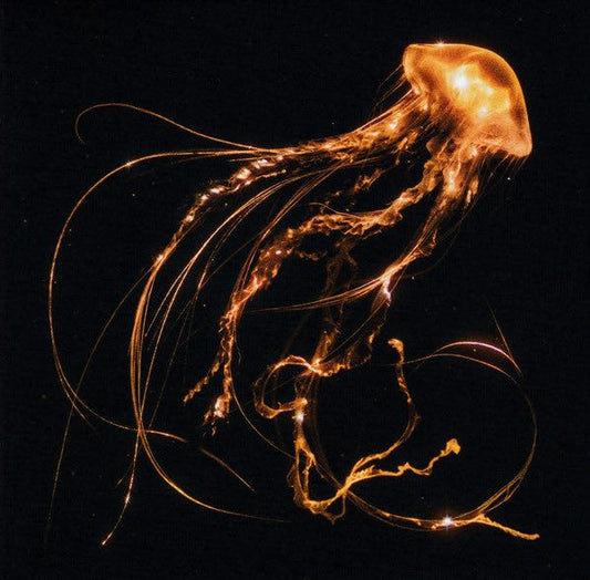 Royal Blood ‎– Back To The Water Below