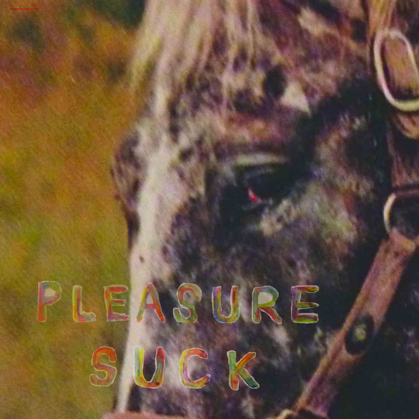 Spirit of The Beehive - Pleasure Suck LP