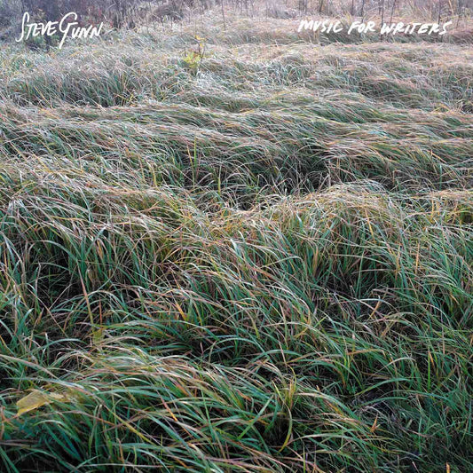 Gunn, Steve - Music For Writers