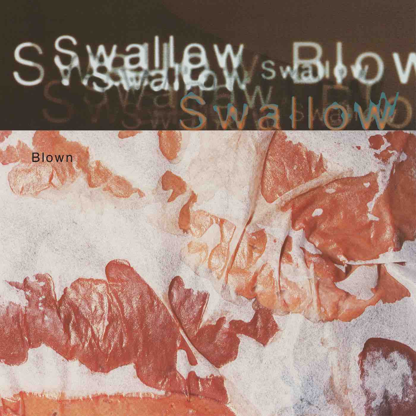 Swallow - Blown