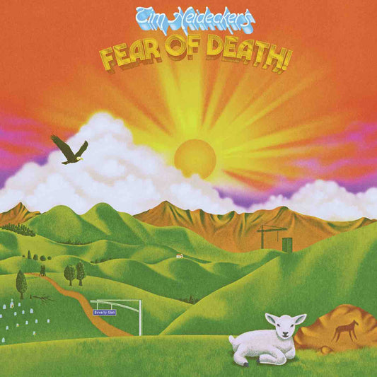 Heidecker, Tim - Fear of Death LP